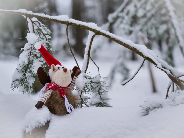 浩瀚体育平台:汇聚全球体育赛事的最佳选择