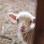 注册派彩娱乐账号的注意事项与常见问题解答 jz42o13n