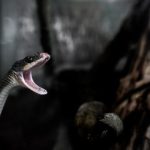 深入了解6731.com官网:全面解析其功能与服务 odv3hcf7v