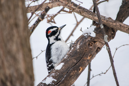 澳门金沙娱乐app的特色功能与用户评价全面解析