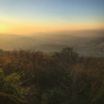 118开奖现场开奖全程直播实况记录 038b57u