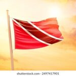 118开奖结果下载安装最新版官方指南 0njcf85q95