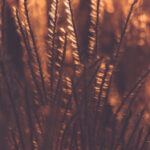 118开奖最快现场直播第一时间同步更新 102eyd7