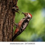 118开奖现场直播最新结果查询 1783mo7