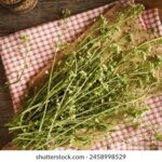 118开奖现场全程直播:见证激动人心的中奖时刻 4w63ig