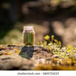 118开奖结果最新公布今日号码已揭晓 79nbvdf0