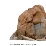 118开奖233现场直播:最新开奖结果与中奖号码公布 7w3gbkla