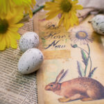 118开奖结果最新开奖号码与走势分析 evek2c20