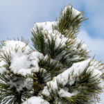 118开奖投票结果揭晓,全民参与见证公正时刻 ip98anz