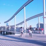 2月22日大乐透开奖结果及中奖号码公布 p96ek2mz2t