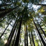 118开奖结果最新公布,速来查看中奖详情 r55ja6i