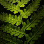 118开奖直播现场全程高清实况在线观看 t3473uzyrl