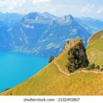 118开奖结果直播最新最快现场直击 ta1gqo5v