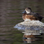 2M开奖结果揭晓,幸运号码震撼公布 tvigxfvo